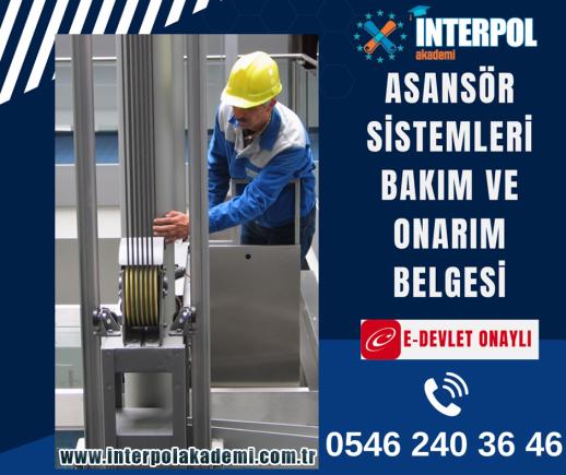 Asansör Bakım ve Onarım Ustalık Belgesi - İnterpol Akademi