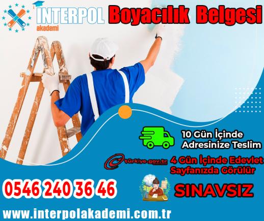 Boyacılık Belgesi - İnterpol Akademi