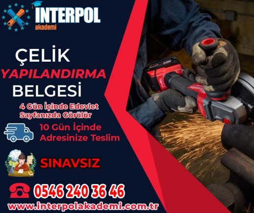 Çelik Yapılandırma Belgesi - İnterpol Akademi