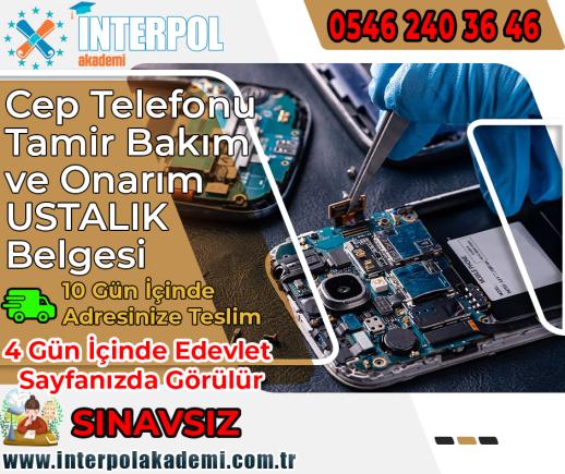 Cep Telefonu Tamir, Bakım ve Onarım Ustalık Belgesi - İnterpol Akademi