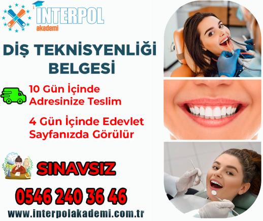 Diş Teknisyenliği Belgesi - İnterpol Akademi