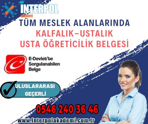 Ustalik Belgeleri - İnterpol Akademi