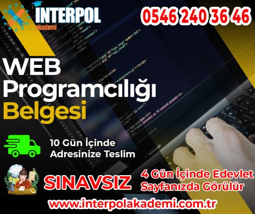 WEB Programcılığı Belgesi - İnterpol Akademi